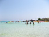 Enlarge photo 55
