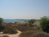 Enlarge photo 57