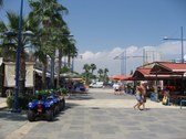 Enlarge photo 79