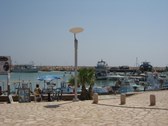Enlarge photo 82