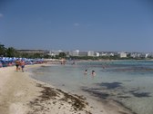 Enlarge photo 81