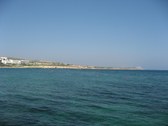 Enlarge photo 88