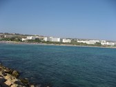 Enlarge photo 89