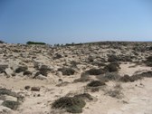 Enlarge photo 109