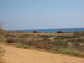 Enlarge photo 114