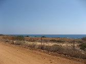 Enlarge photo 113