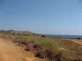 Enlarge photo 116