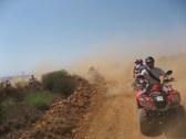 Enlarge photo 115