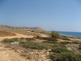 Enlarge photo 117
