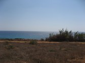 Enlarge photo 119