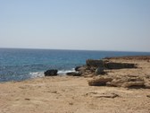 Enlarge photo 120