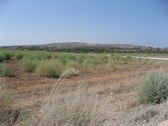 Enlarge photo 127