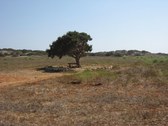 Enlarge photo 128