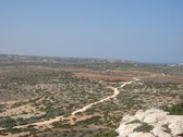 Enlarge photo 131