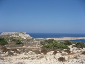 Enlarge photo 132