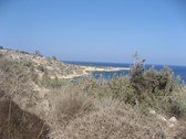 Enlarge photo 135