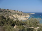 Enlarge photo 136