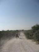 Enlarge photo 138