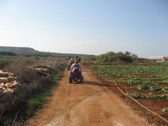 Enlarge photo 140