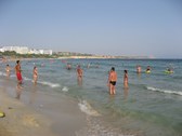 Enlarge photo 143