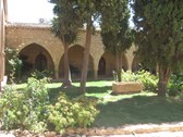 Enlarge photo 172