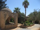 Enlarge photo 175