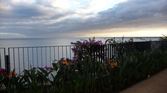 Enlarge photo 225