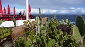 Enlarge photo 235