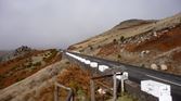 Enlarge photo 246