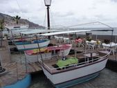 Enlarge photo 261