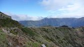 Enlarge photo 266