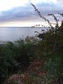 Enlarge photo 42