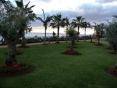 Enlarge photo 41