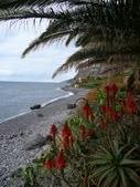 Enlarge photo 57