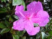 Enlarge photo 82