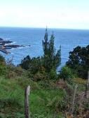 Enlarge photo 85
