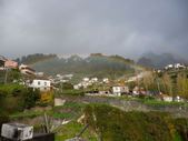 Enlarge photo 105