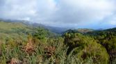 Enlarge photo 110