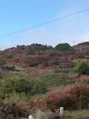 Enlarge photo 114