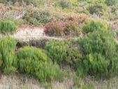 Enlarge photo 116