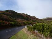 Enlarge photo 117
