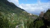 Enlarge photo 118