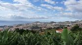 Enlarge photo 145