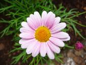 Enlarge photo 156