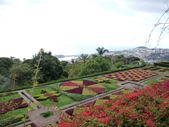 Enlarge photo 154