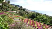 Enlarge photo 155