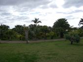 Enlarge photo 157
