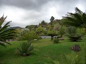 Enlarge photo 161