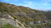 Enlarge photo 199