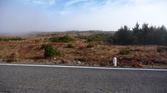 Enlarge photo 200